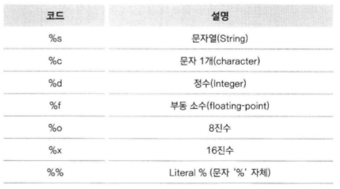 문자열 포맷 코드